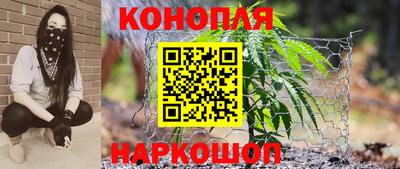 бошки Сланцы